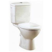 Напольный унитаз Vitra Normus 9780B003-1176 с бачком и сидением картинка