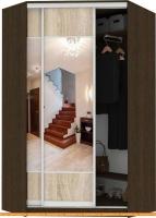 Шкаф-купе Кортекс-мебель Сенатор ШК30 Геометрия ДСП с зеркалом (венге/дуб сонома) картинка