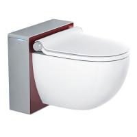 Подвесной унитаз с биде Grohe 39111LD0 картинка