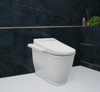 Приставной унитаз Smart F-Control 39300150 (состоит из 33010030, VB-3000) картинка