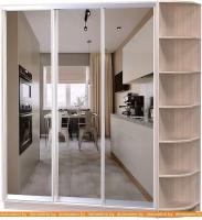 Шкаф-купе Vivat Mebel D3-08 220x60 (ясень шимо светлый) картинка
