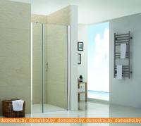 Душевая дверь RGW LE-02 120 см картинка