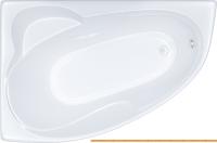 Ванны Triton Кайли 150x100L (с ножками) картинка