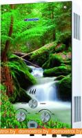 Газовая колонка Edisson F 20 GD (лес) картинка