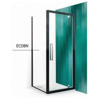 Душевая стенка Roltechnik Exclusive Line ECDBN/1000 100x205 картинка