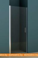 Душевая дверь Riho Novik Z101 80 картинка