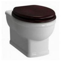 Подвесной унитаз Vitra Efes 5802B003-0075 без сидения картинка