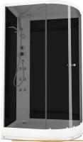 Душевая кабина Domani-Spa Delight 128 120x80 L с гидромассажем (черный/тонированное) картинка
