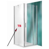 Душевая стенка Roltechnik Tower Line TB/750 75x201 картинка