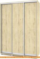 Шкаф-купе Modern Роланд 1600 (600) (ирландский дуб) картинка