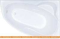 Ванны Triton Изабель 170x100R картинка