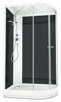 Душевая кабина Domani-Spa Delight 128 120x80 L (прозрачное стекло / черные стенки) картинка