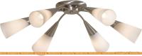 Потолочная люстра Citilux Фокус (матовый хром) [CL103161] картинка