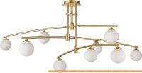 Подвесная люстра ST Luce Sembrare SL1208.302.09 картинка