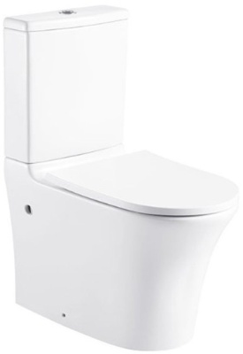 Напольный унитаз Bravat Pura СX21214UW-P-RUS/СY21214W-RUS фотография