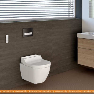 Унитаз Geberit AquaClean Tuma 146.294.11.1 фотография