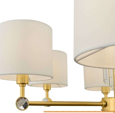 Подвесная люстра Maytoni Alloro MOD088PL-06BS фотография