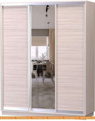 Шкаф-купе Vivat Mebel D3-02 240x60 (ясень шимо светлый) фотография