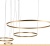 Подвесная люстра LOFT IT Ring 10017/4L фотография Подвесная люстра LOFT IT Ring 10017/4L фотография