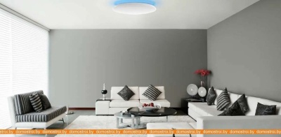 Светильник тарелка Yeelight Arwen Ceiling Light 550C YLXD013-C фотография