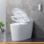 Унитаз Brunnen WAL BW-2402 фотография Унитаз Brunnen WAL BW-2402 фотография