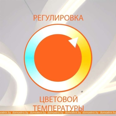 Потолочная люстра Евросвет Floris 90221/1 (белый) фотография