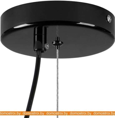 Подвесная люстра Lightstar Erbareo 799010 фотография
