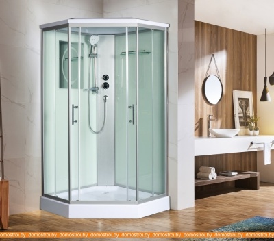 Душевая кабина WeltWasser WW500 Nesse 1002 фотография