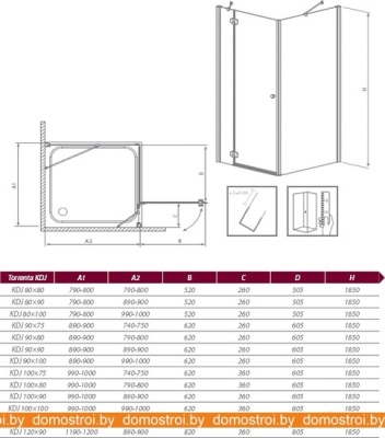 Душевой уголок Radaway Torrenta KDJ 80Rx100 (32250-01-05R) фотография