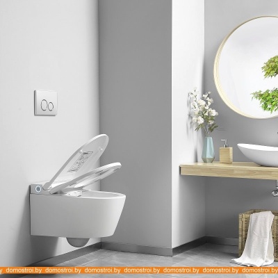 Унитаз Brunnen WAL BW-2401 фотография