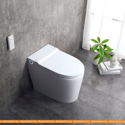 Унитаз Brunnen WAL BW-2402 (автоподъем/опускание крышки) фотография