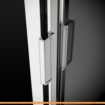 Душевая дверь Radaway Evo DW 110 фотография