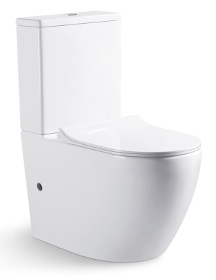 Напольный унитаз Bravat Gina CY01008XW-PA-ENG/CX01008UW-PA-ENG фотография