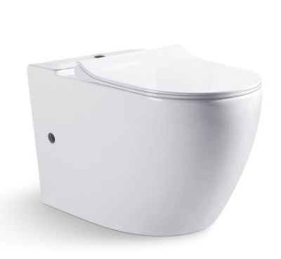 Напольный унитаз Bravat Gina CY01008XW-PA-ENG/CX01008UW-PA-ENG фотография