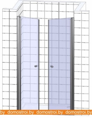 Душевая дверь WeltWasser WW600 600K2-120 фотография