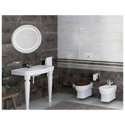 Подвесной унитаз Vitra Efes 5802B003-0075 без сидения фотография