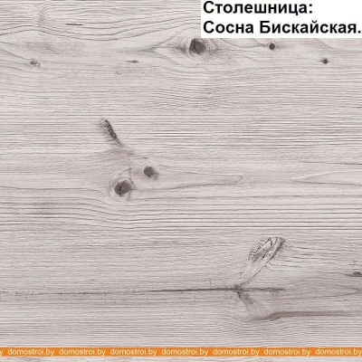 Кухня Интерлиния Мила 12x30 (серебристый-бетон-бискайская сосна) фотография
