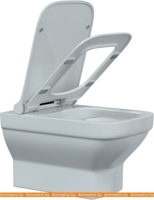 Унитаз Berges Wasserhaus Level Rimless + Level Slim SO 082119 фотография