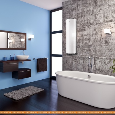Водонагреватель Electrolux EWH 50 Fidelity фотография