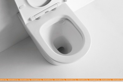 Унитаз CeramaLux NS3178 фотография