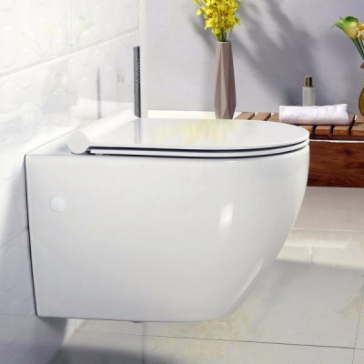 Подвесной унитаз BelBagno Sfera-R [BB513CH + BB209SC] с сиденьем фотография