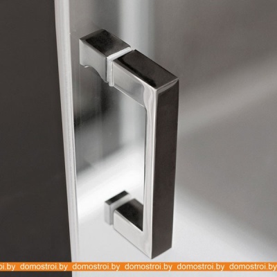 Душевая дверь Roth Lega Line LLDO2/90 (хром/intimglass) фотография
