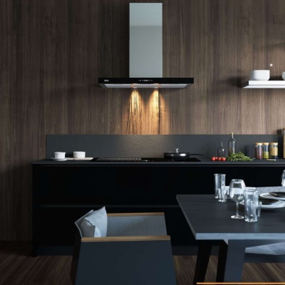 Вытяжка ZorG Technology Stels Inox 90 (750 куб. м/ч) фотография