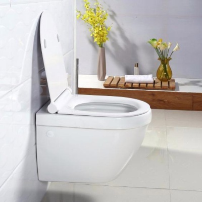 Подвесной унитаз BelBagno Cento-R BB509CH фотография