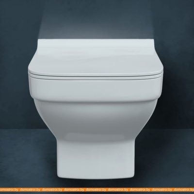 Унитаз Berges Wasserhaus Level Rimless + Level Slim SO 082119 фотография