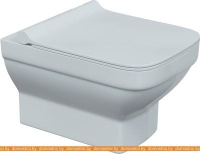 Унитаз Berges Wasserhaus Level Rimless + Level Slim SO 082119 фотография