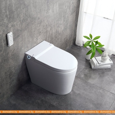 Унитаз Brunnen WAL BW-2402 фотография