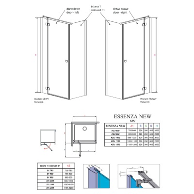 Душевая дверь Essenza New KDJ L/R [385040-01-01] 100x200 фотография