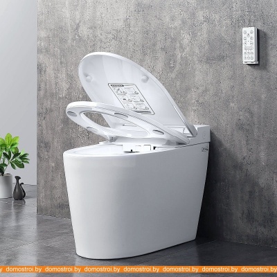 Унитаз Brunnen WAL BW-2402 (автоподъем/опускание крышки) фотография