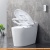 Унитаз Brunnen WAL BW-2402 (автоподъем/опускание крышки) фотография Унитаз Brunnen WAL BW-2402 (автоподъем/опускание крышки) фотография